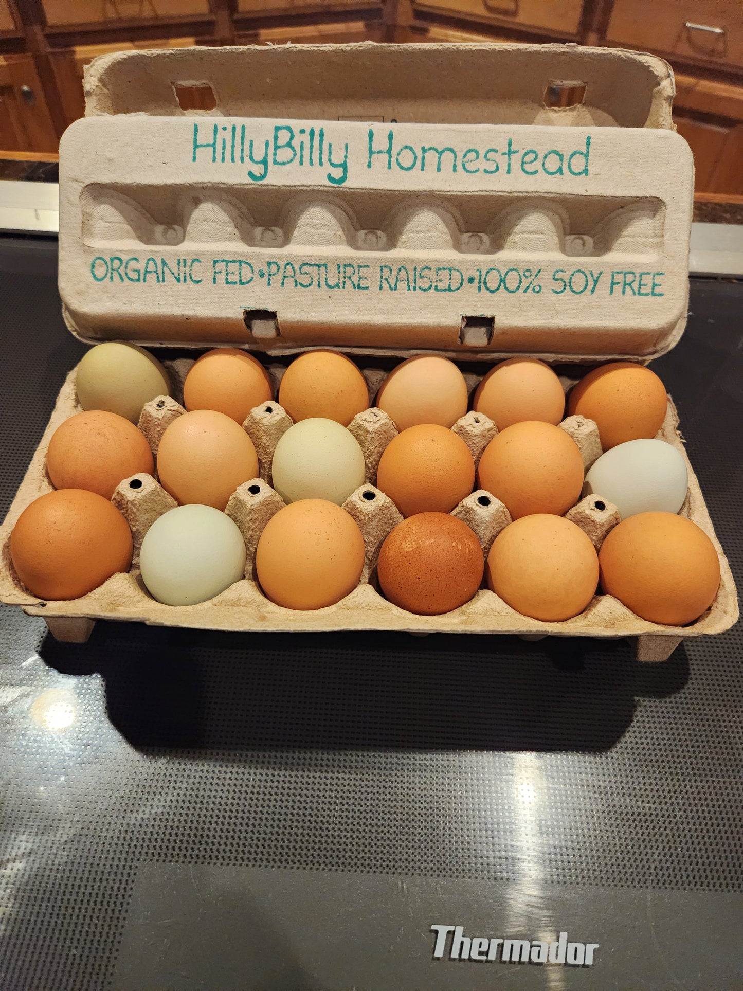 Trukees 11 Point Getaway Bundle