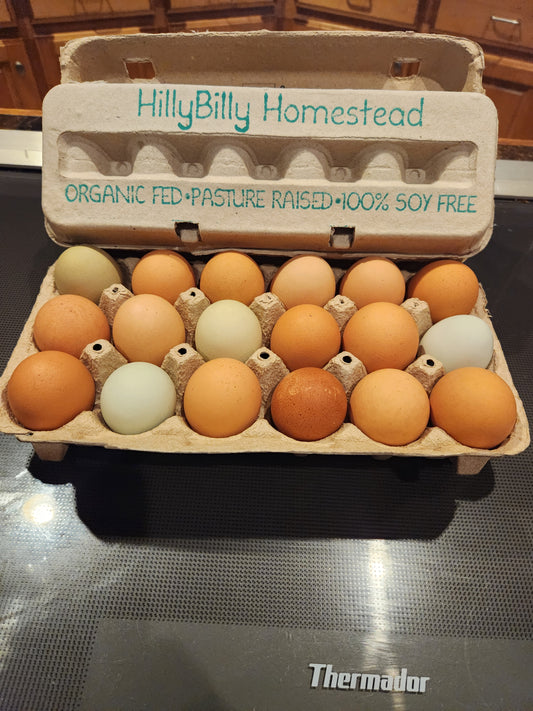 Hillybilly Homestead eggs