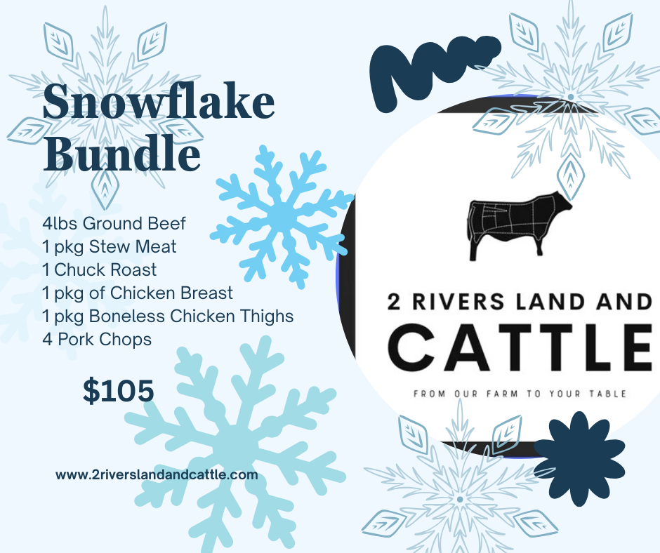 Snowflake Bundle