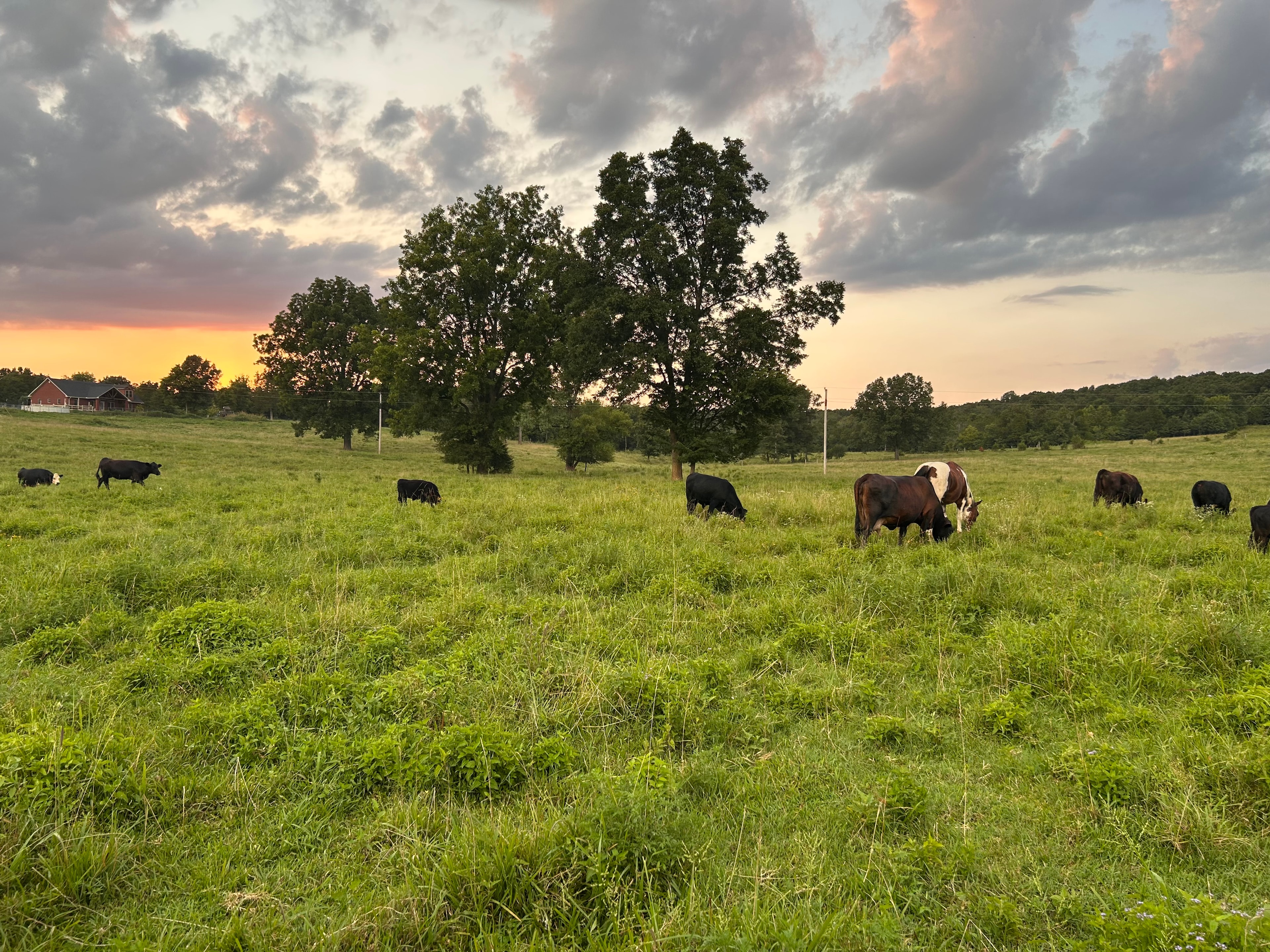2 Rivers Land and Cattle ranch