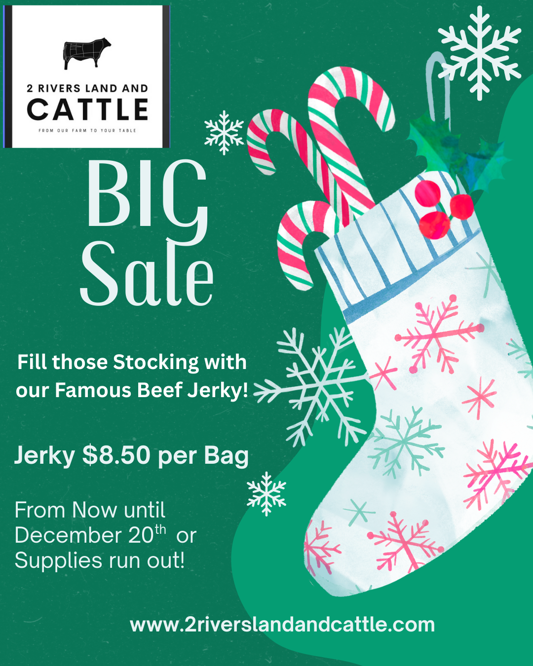 Christmas Beef Jerky Special
