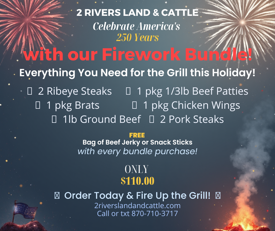 Firework Bundle