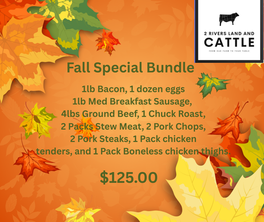 Fall Special Bundle
