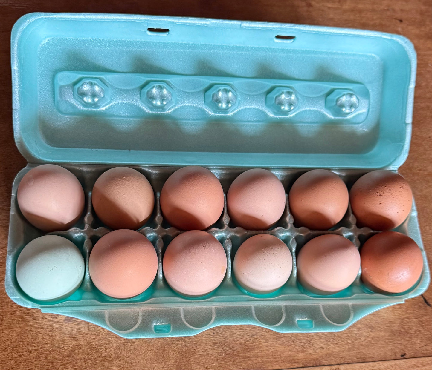 Farm Fresh Feast Bundle