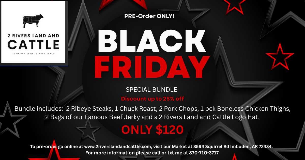 Black Friday Special Bundle